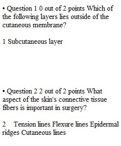 Quiz 1